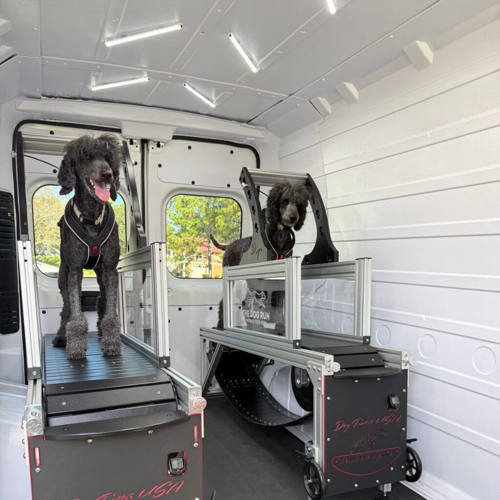 Mobile Dog Gym - Contact us